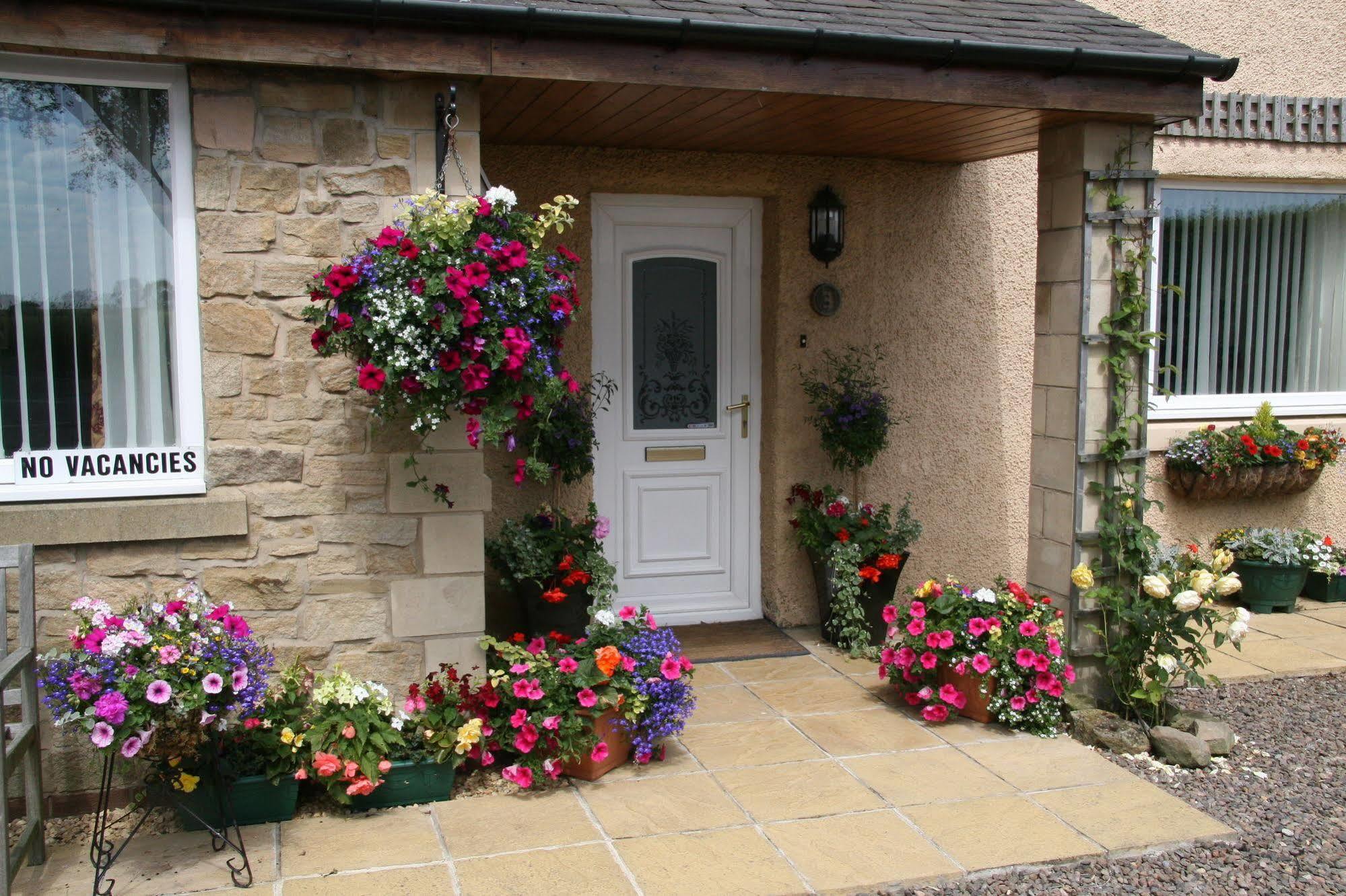 Northumberland Cottage B&B Acklington Exterior foto
